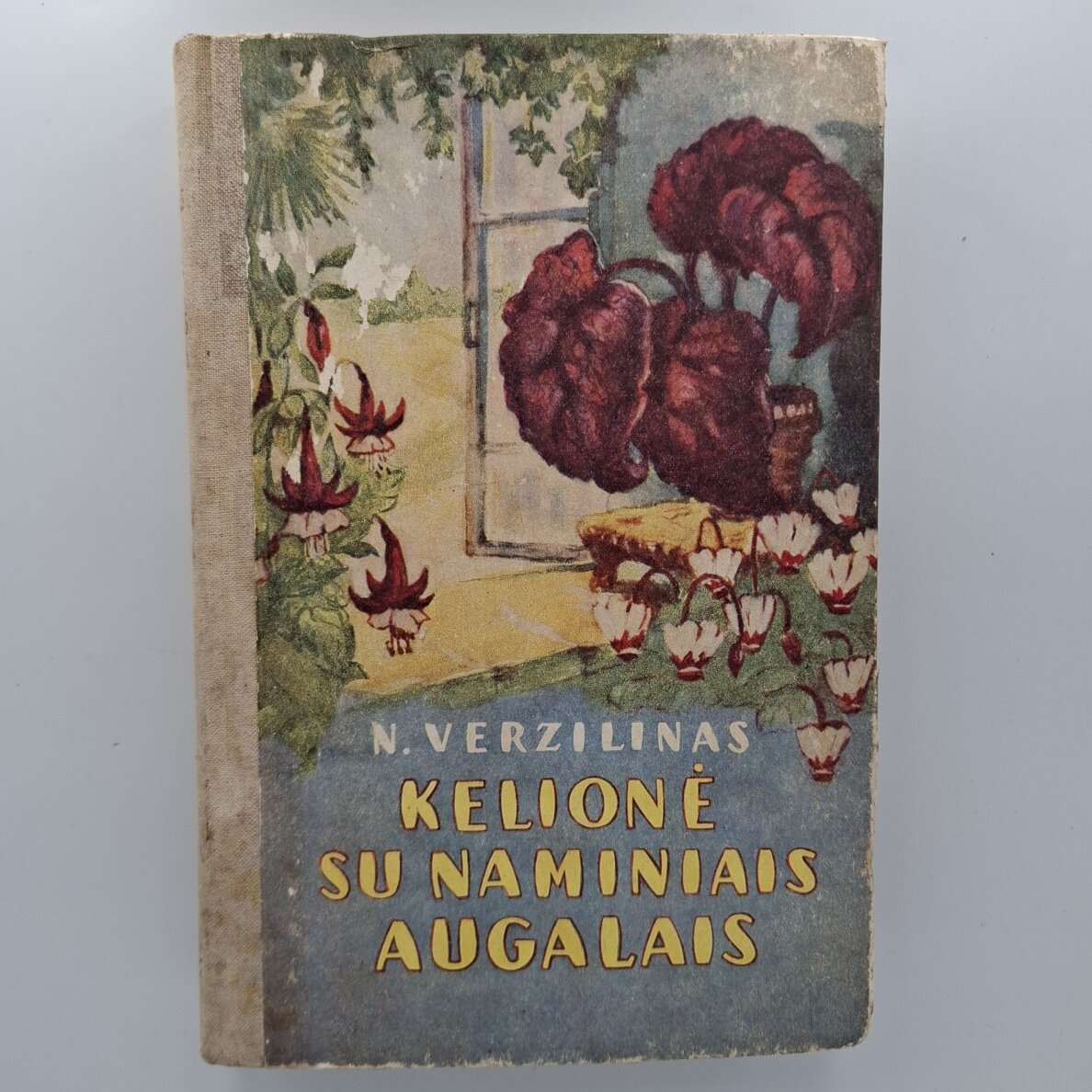 Kelionė su naminiais augalais Kelionė su naminiais augalais