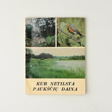 Kur netilsta paukščių daina