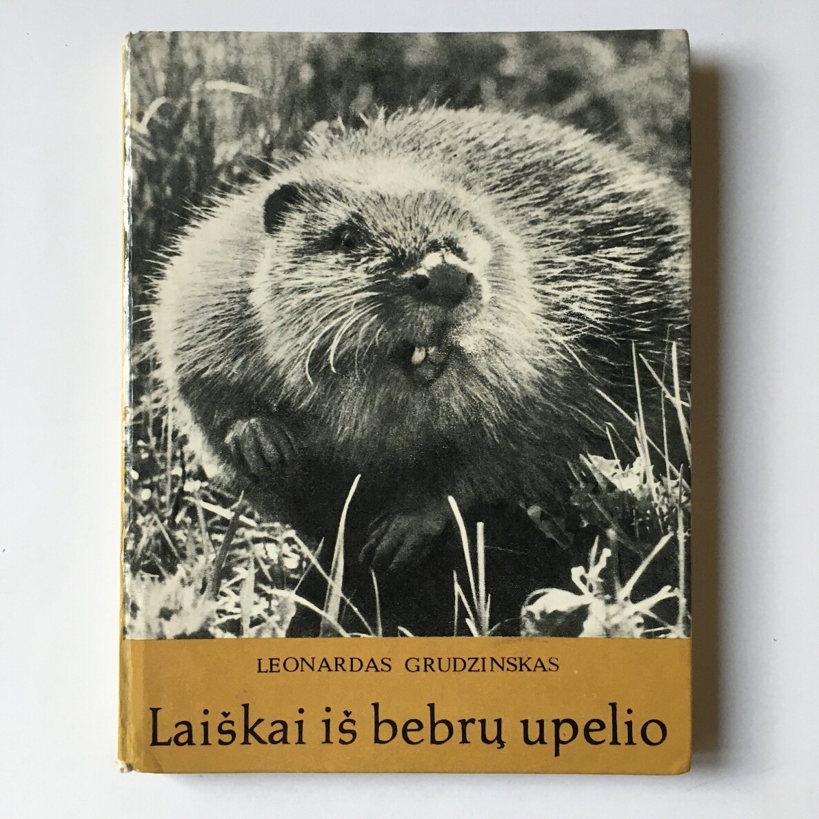 Laiškai iš bebrų upelio
