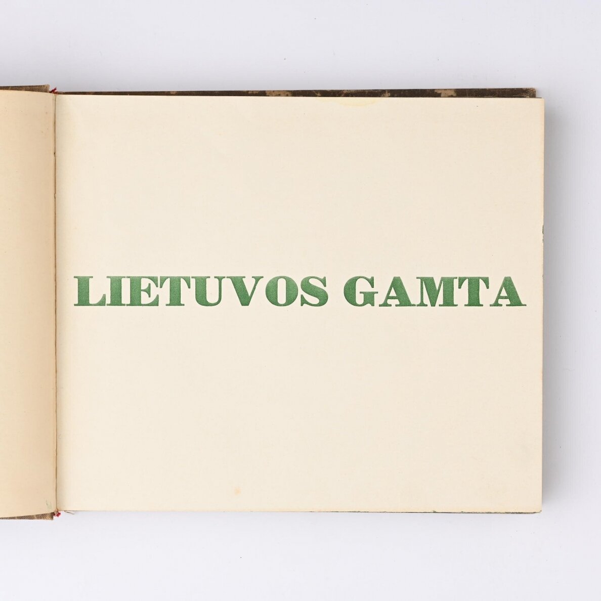 Lietuvos gamta 1