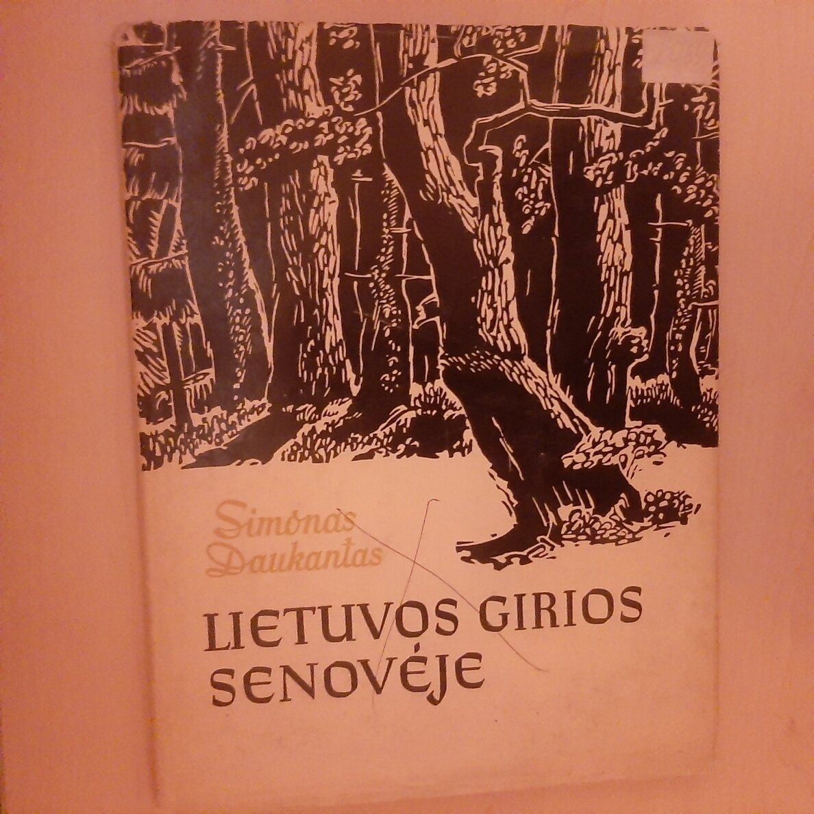 Lietuvos girios senovėje