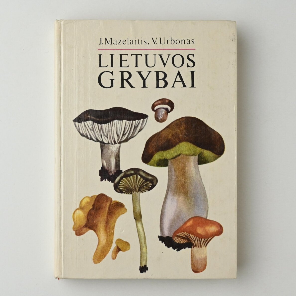 Lietuvos grybai Lietuvos grybai