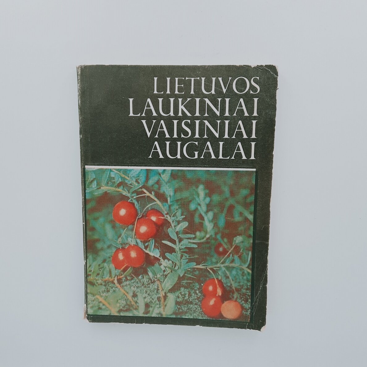 Lietuvos laukiniai vaisiniai augalai Lietuvos laukiniai vaisiniai augalai