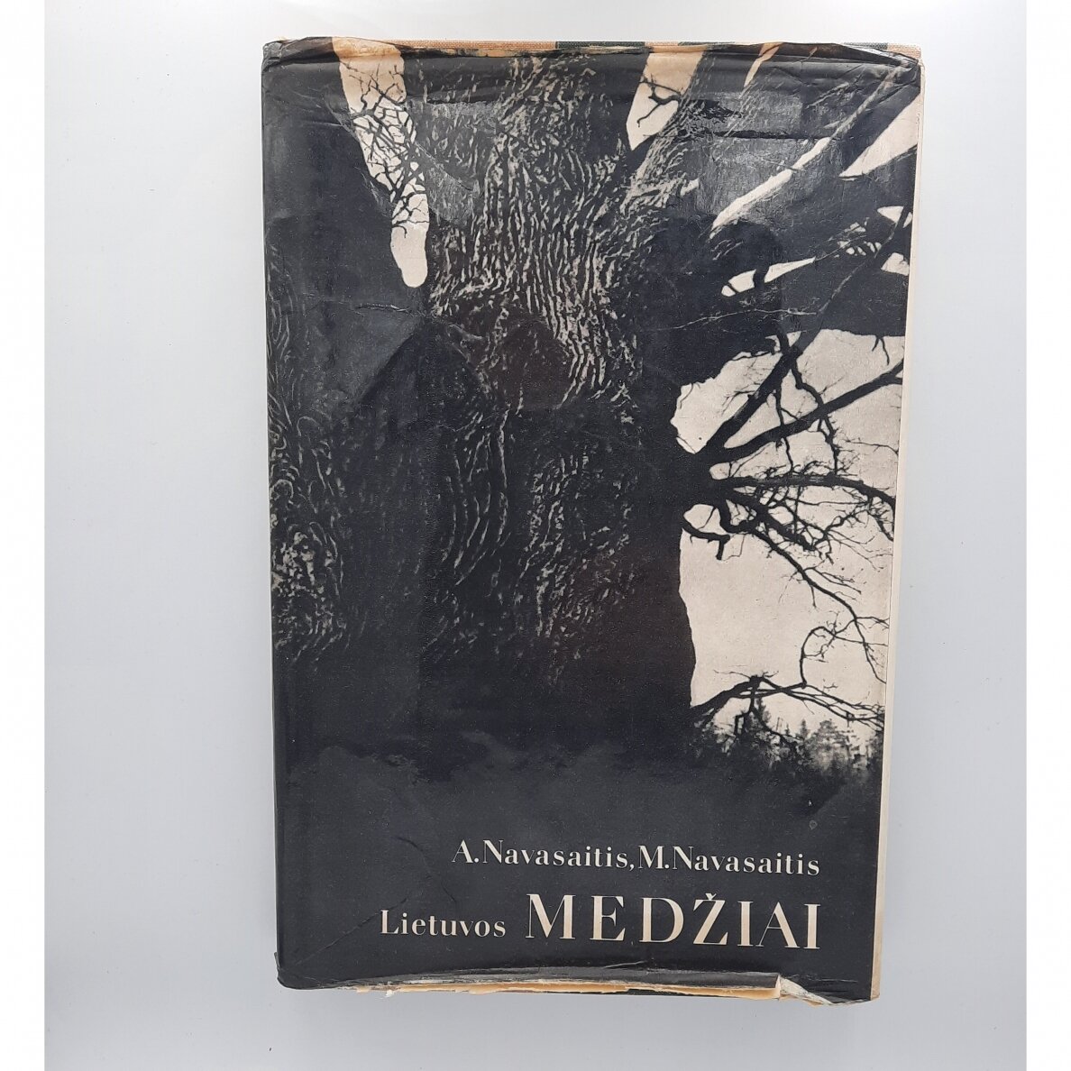 Lietuvos medžiai Lietuvos medžiai