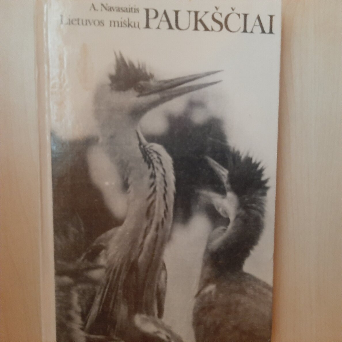 Lietuvos miškų paukščiai Lietuvos miškų paukščiai