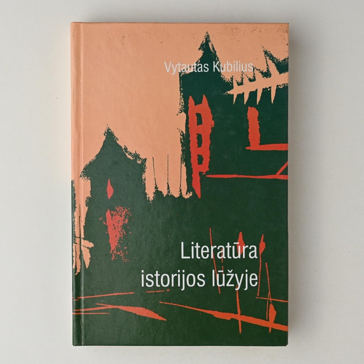 Literatūra istorijos lūžyje