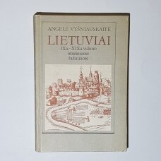 Lietuviai IX a.-XIX a.vidurio istoriniuose šaltiniuose