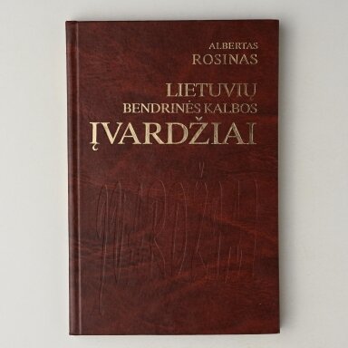 Lietuvių bendrinės kalbos įvardžiai : funkcijos ir semantika