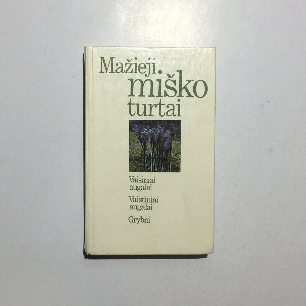 Mažieji miško turtai Mažieji miško turtai