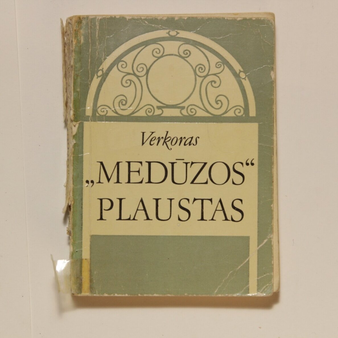 "Medūzos plaustas"
