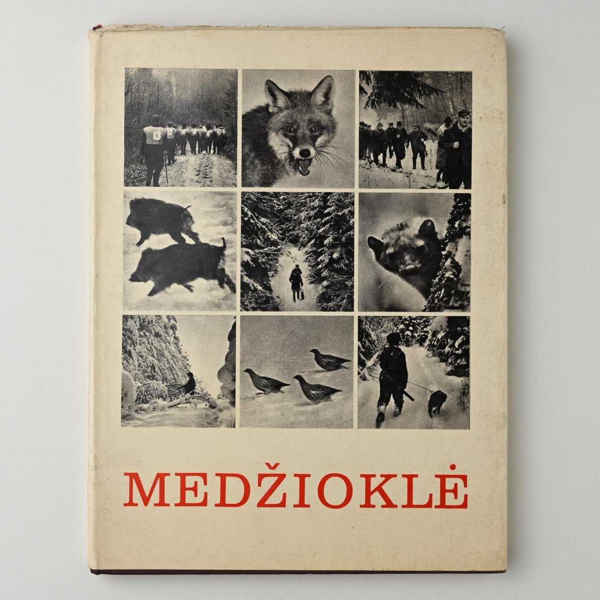 Medžioklė Medžioklė