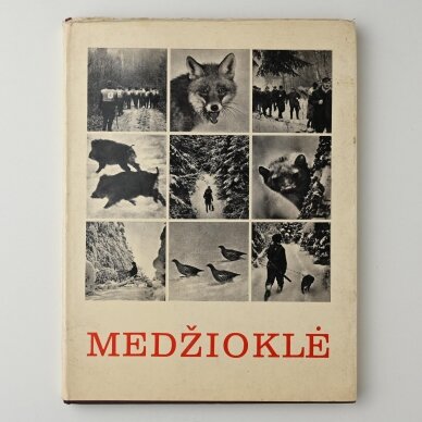 Medžioklė Medžioklė