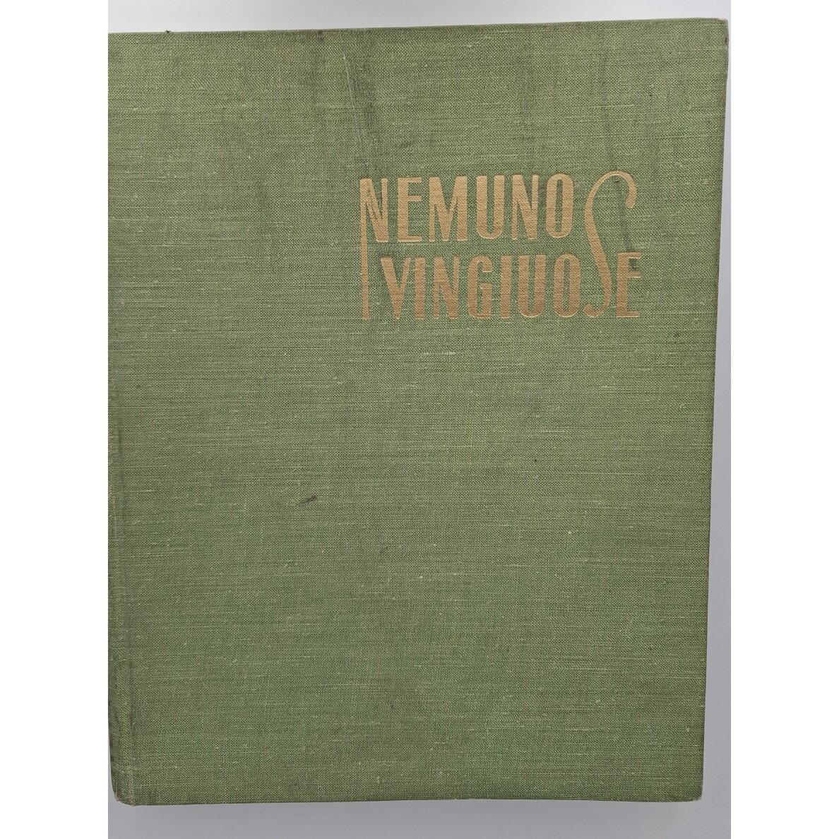 Nemuno vingiuose Nemuno vingiuose