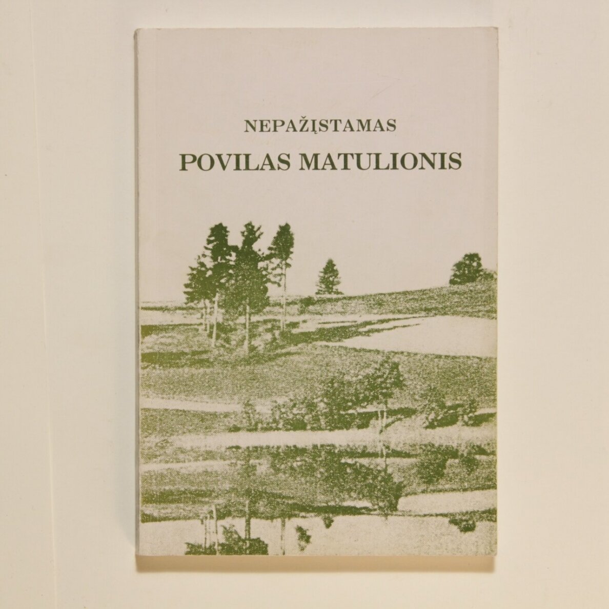 Nepažįstamas Povilas Matulionis
