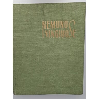 Nemuno vingiuose