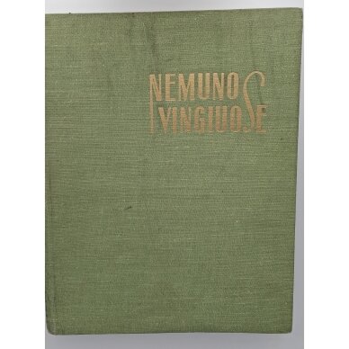 Nemuno vingiuose Nemuno vingiuose