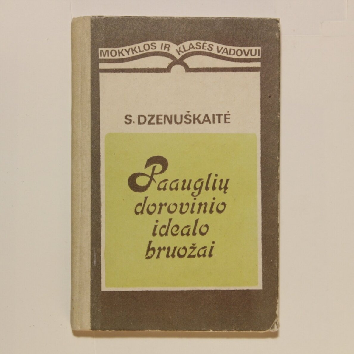 Paauglio dorovinio idealo bruožai