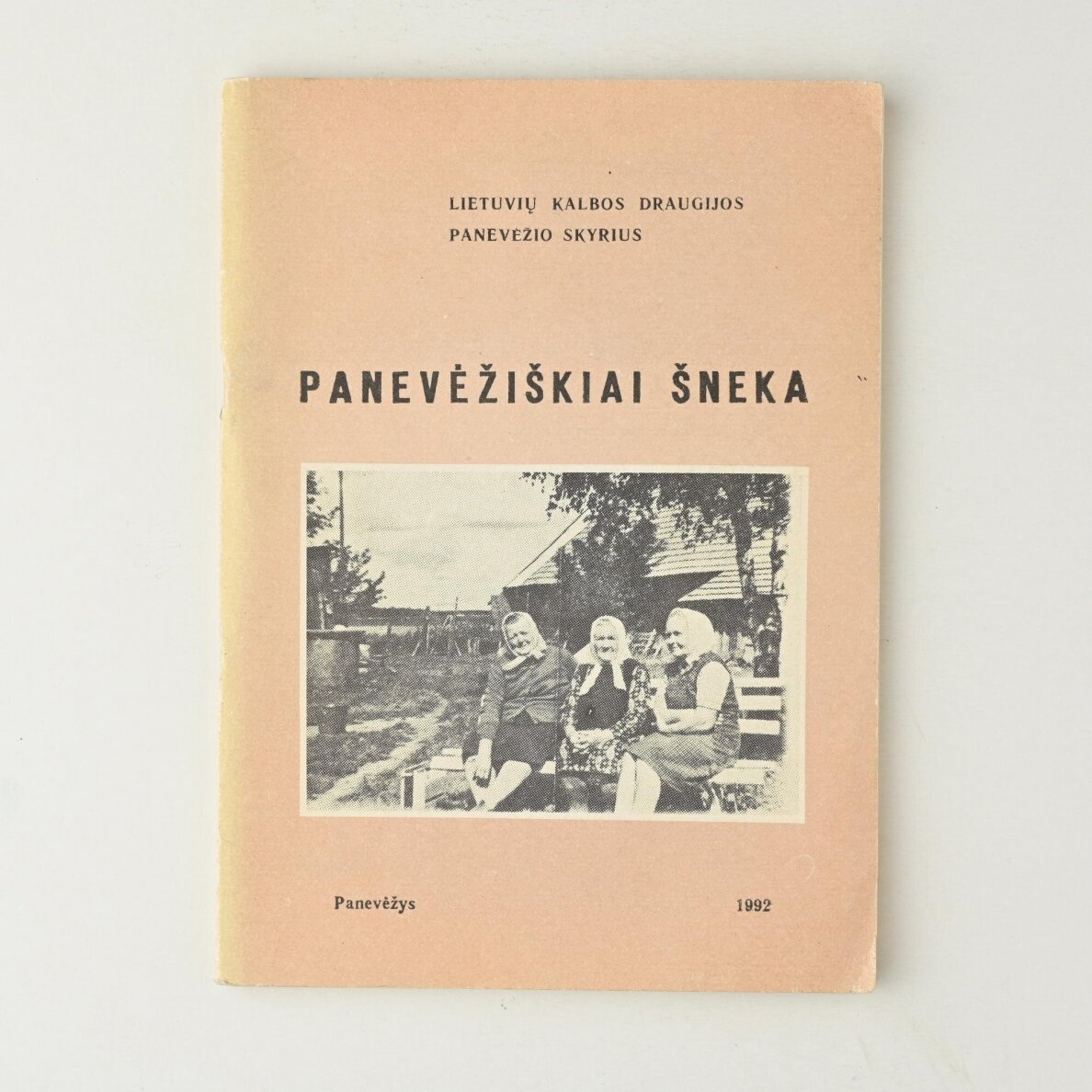 Panevėžiškiai šneka