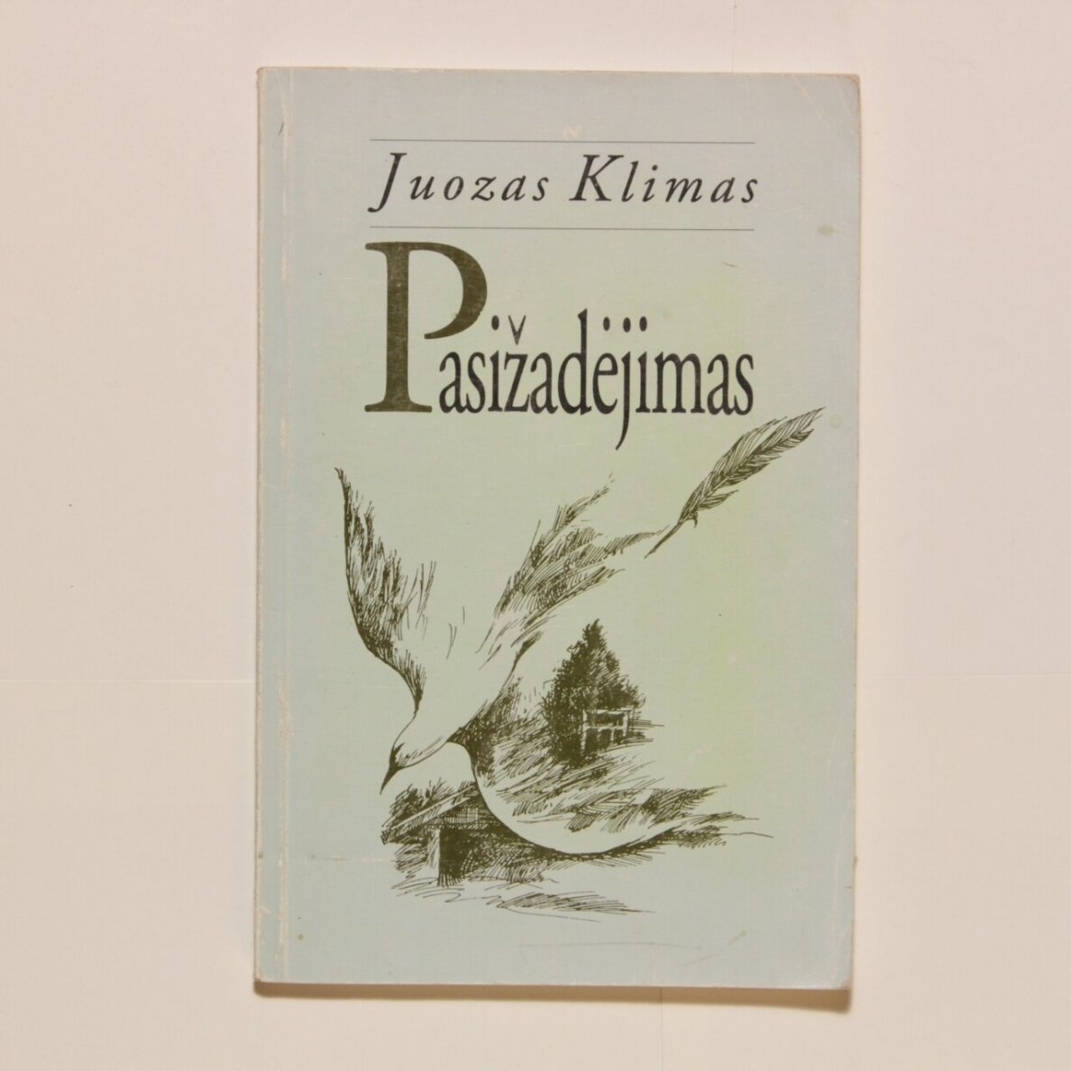Pasižadėjimas