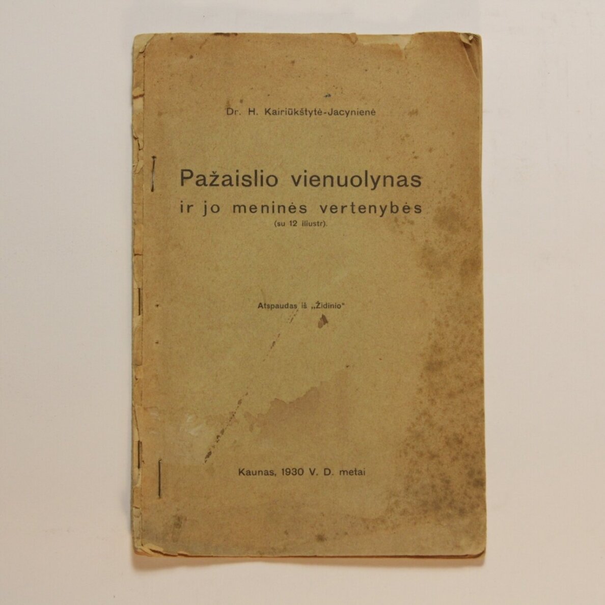 Pažaislio vienuolynas ir jo meninės vertenybės Pažaislio vienuolynas ir jo meninės vertenybės