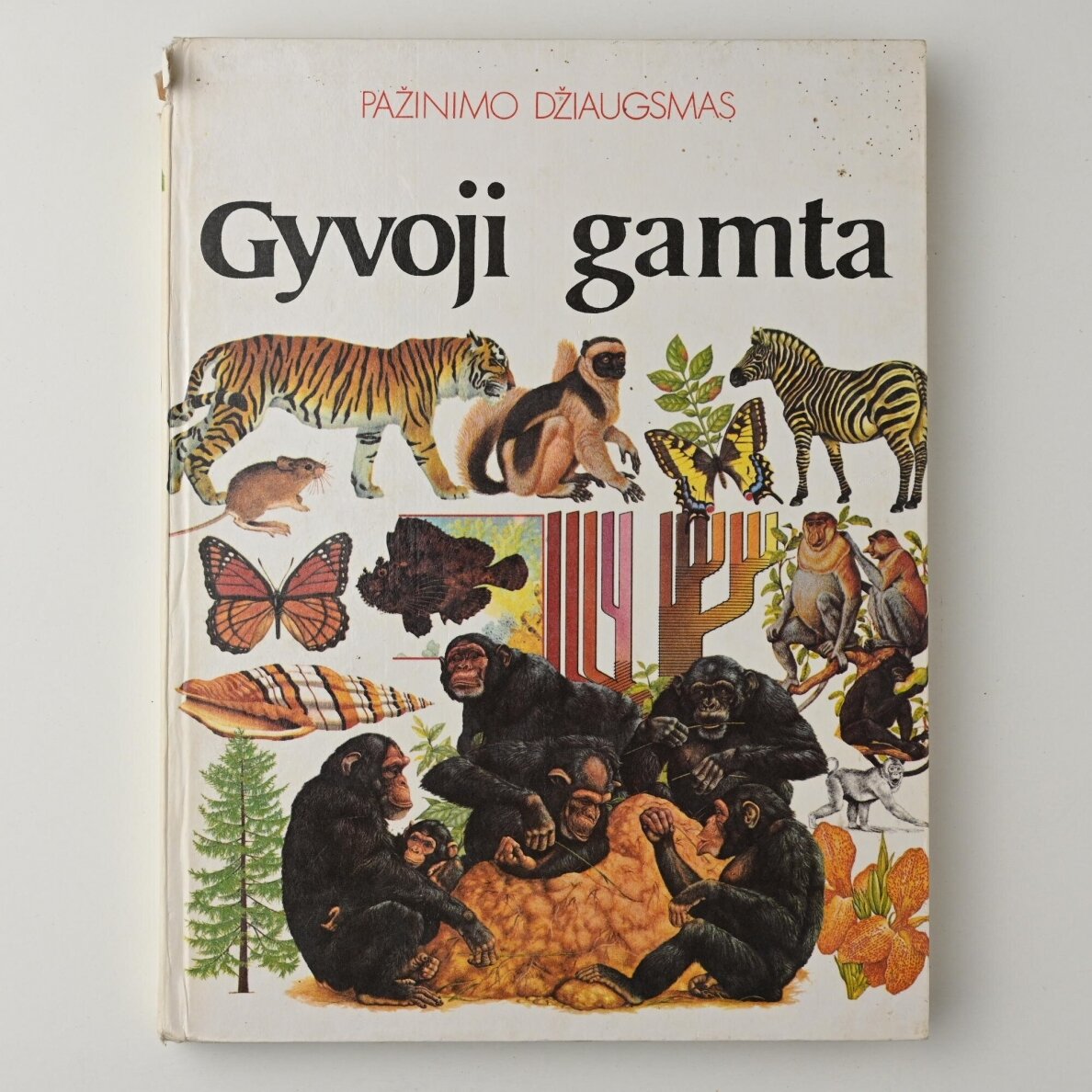 Pažinimo džiaugsmas. Kn. 2 :Gyvoji gamta Pažinimo džiaugsmas. Kn. 2 :Gyvoji gamta