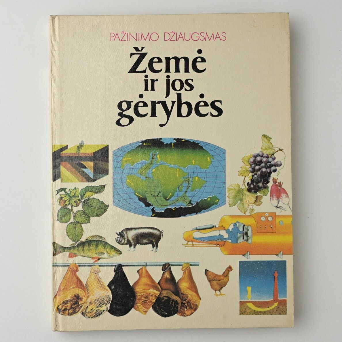 Pažinimo džiaugsmas. Kn. 3 : Žemė ir jos gėrybės Pažinimo džiaugsmas. Kn. 3 : Žemė ir jos gėrybės