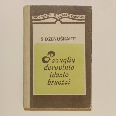 Paauglio dorovinio idealo bruožai Paauglio dorovinio idealo bruožai