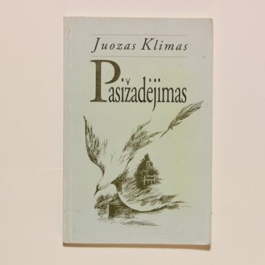 Pasižadėjimas Pasižadėjimas