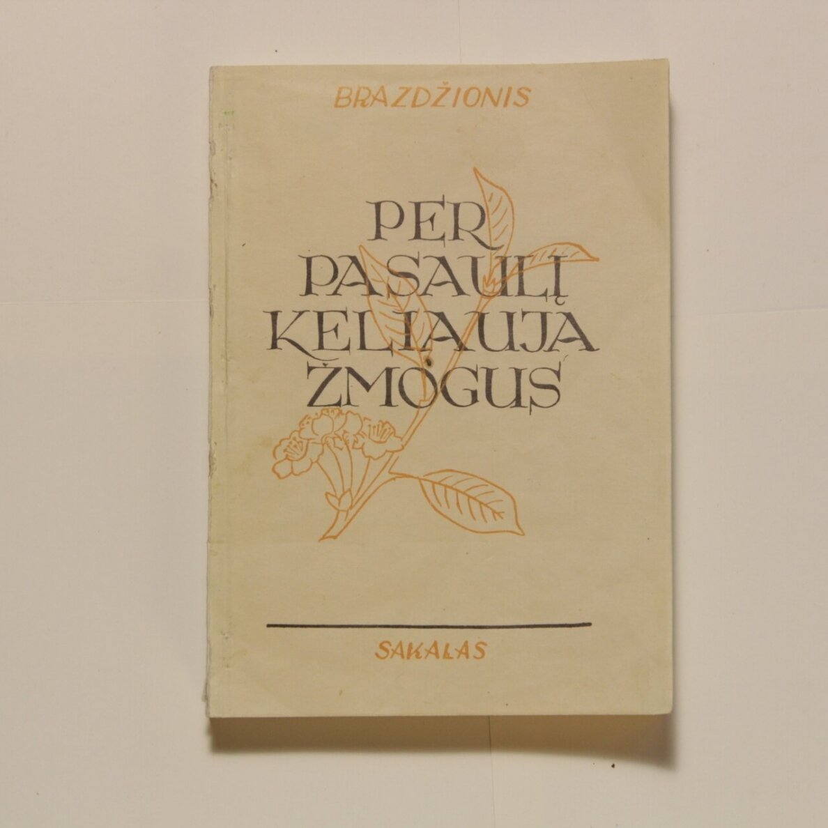 Per pasaulį keliauja žmogus Per pasaulį keliauja žmogus