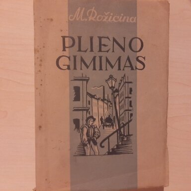 Plieno gimimas