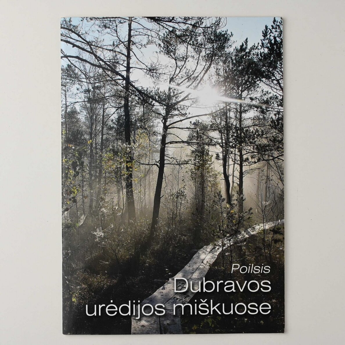Poilsis Dubravos urėdijos miškuose Poilsis Dubravos urėdijos miškuose