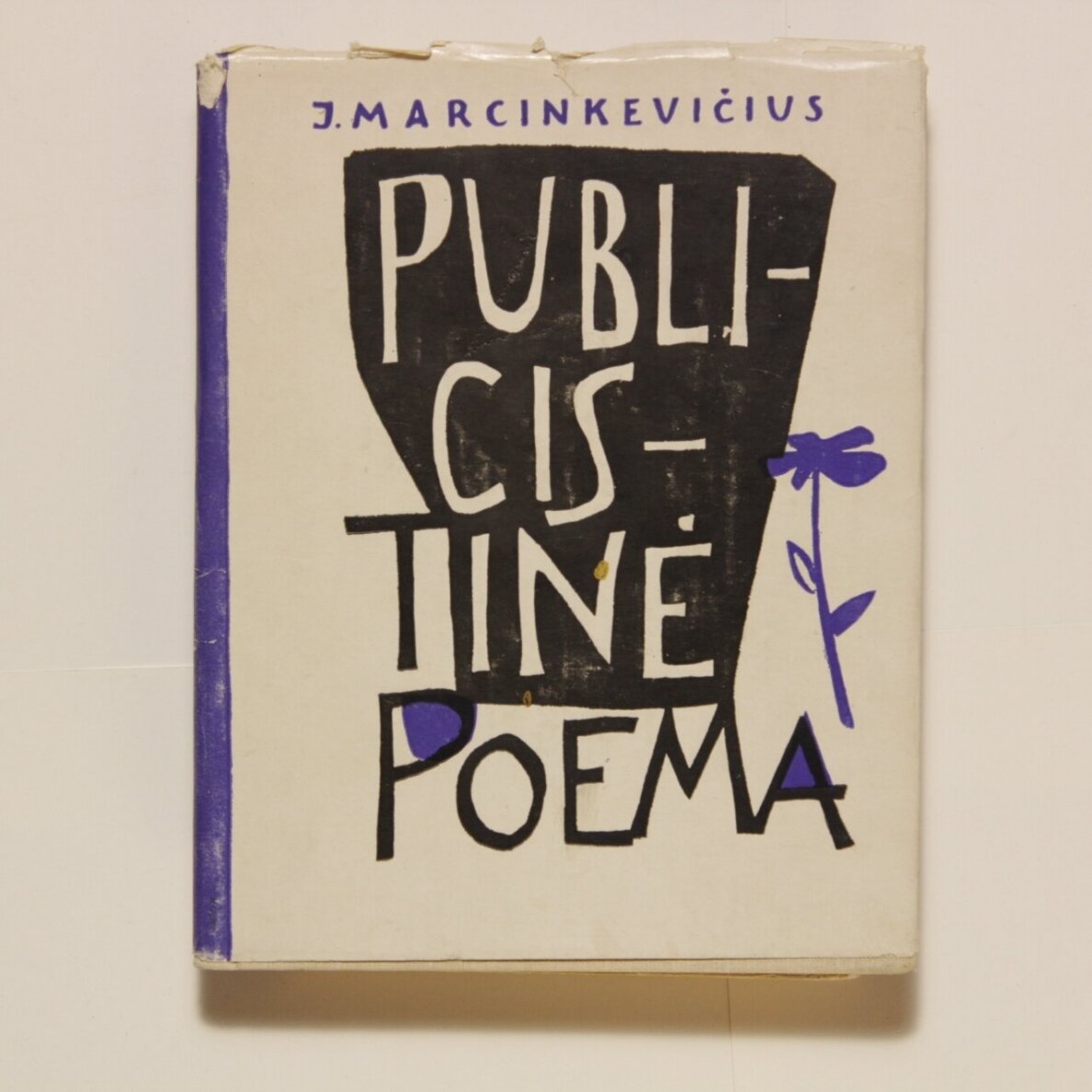 Publicistinė poema