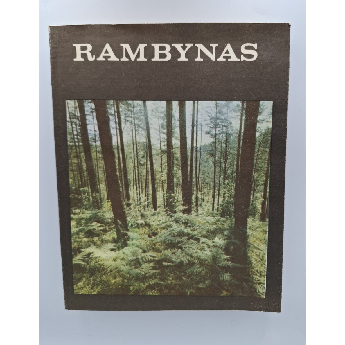 Rambynas Rambynas