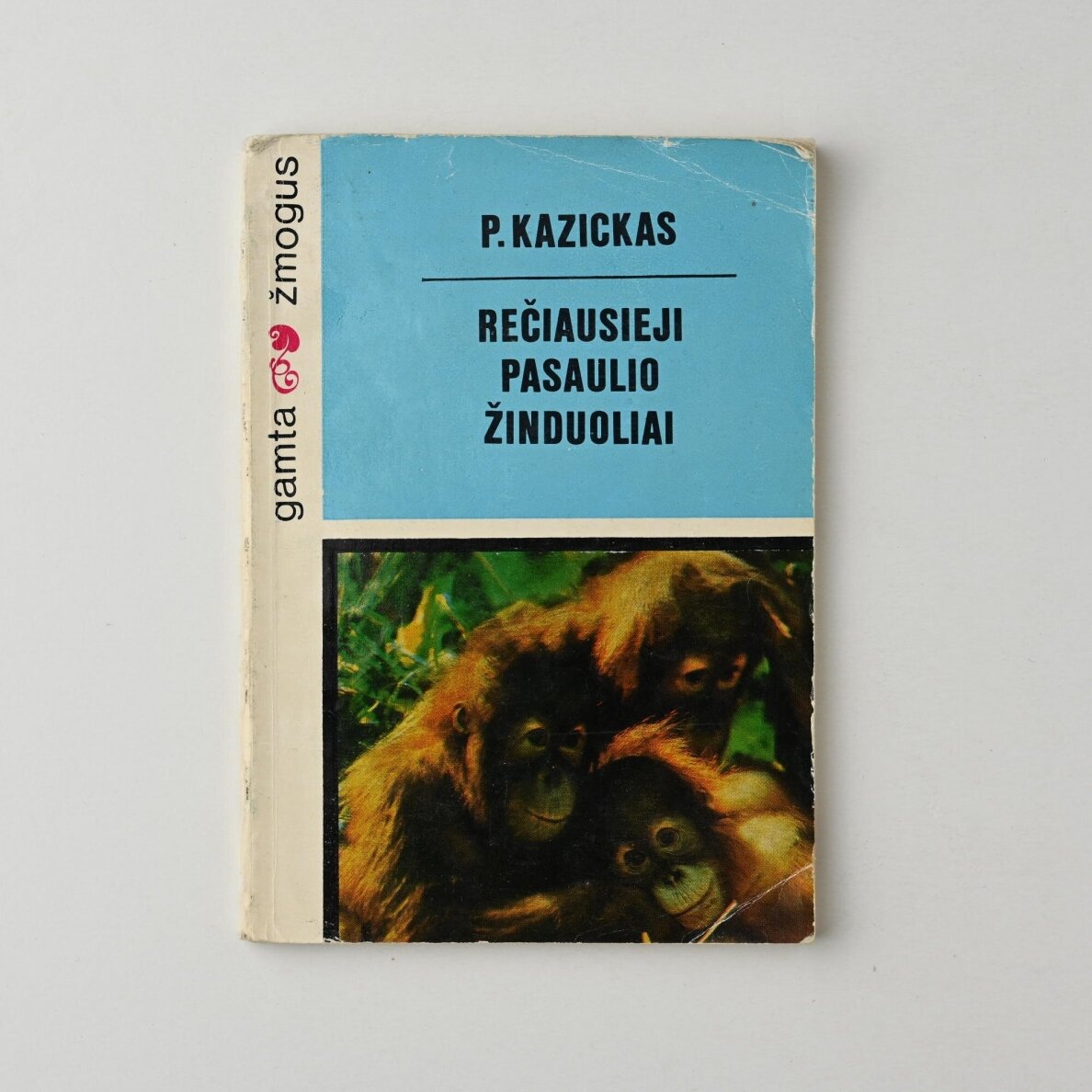 Rečiausieji pasaulio žinduoliai
