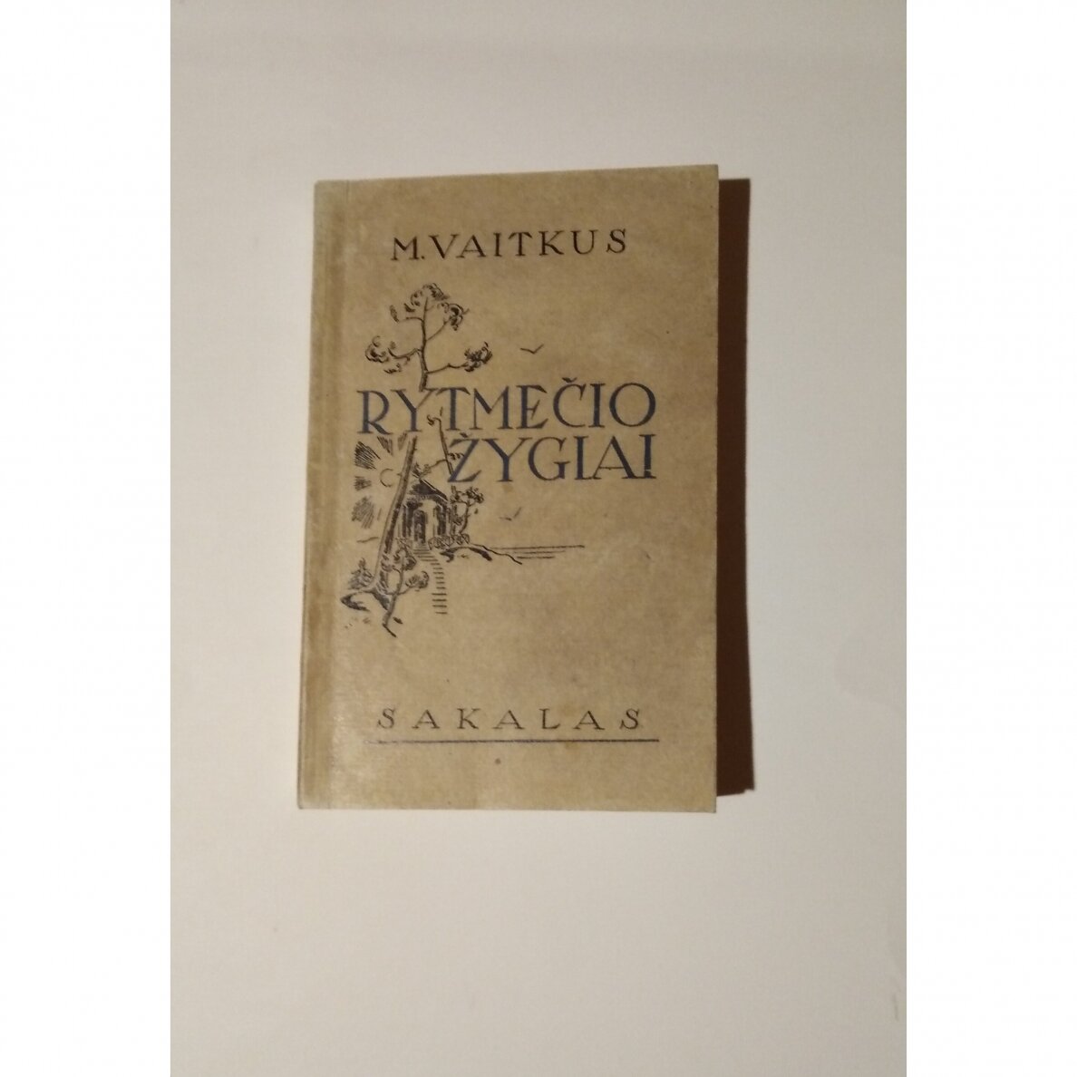 Rytmečio žygiai