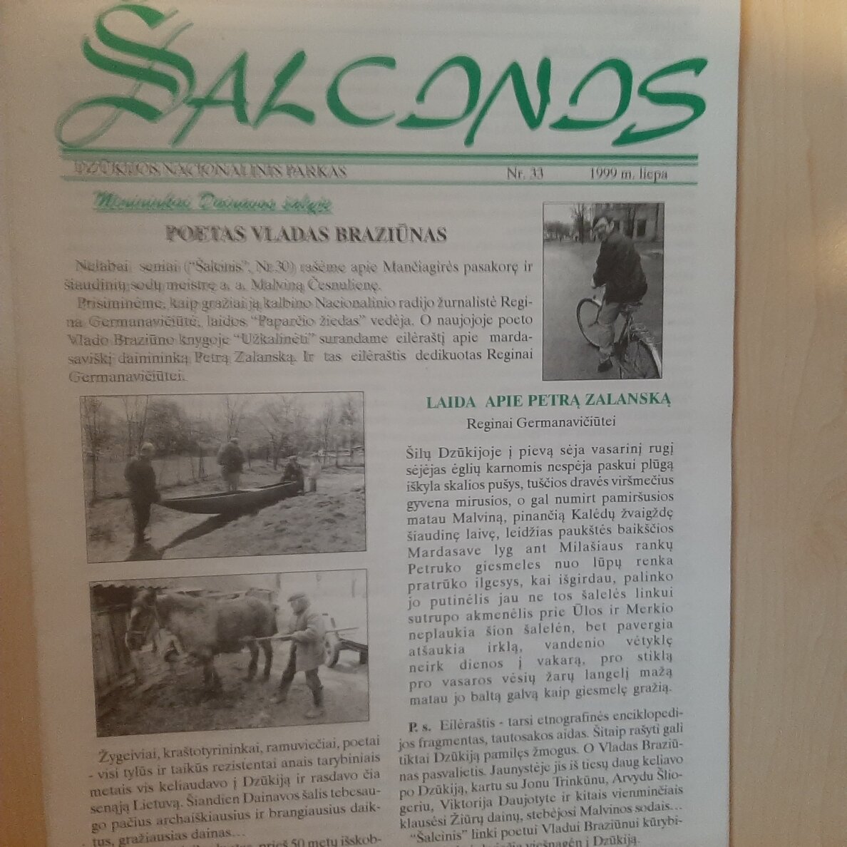 Šalcinis 1999, Nr. 33