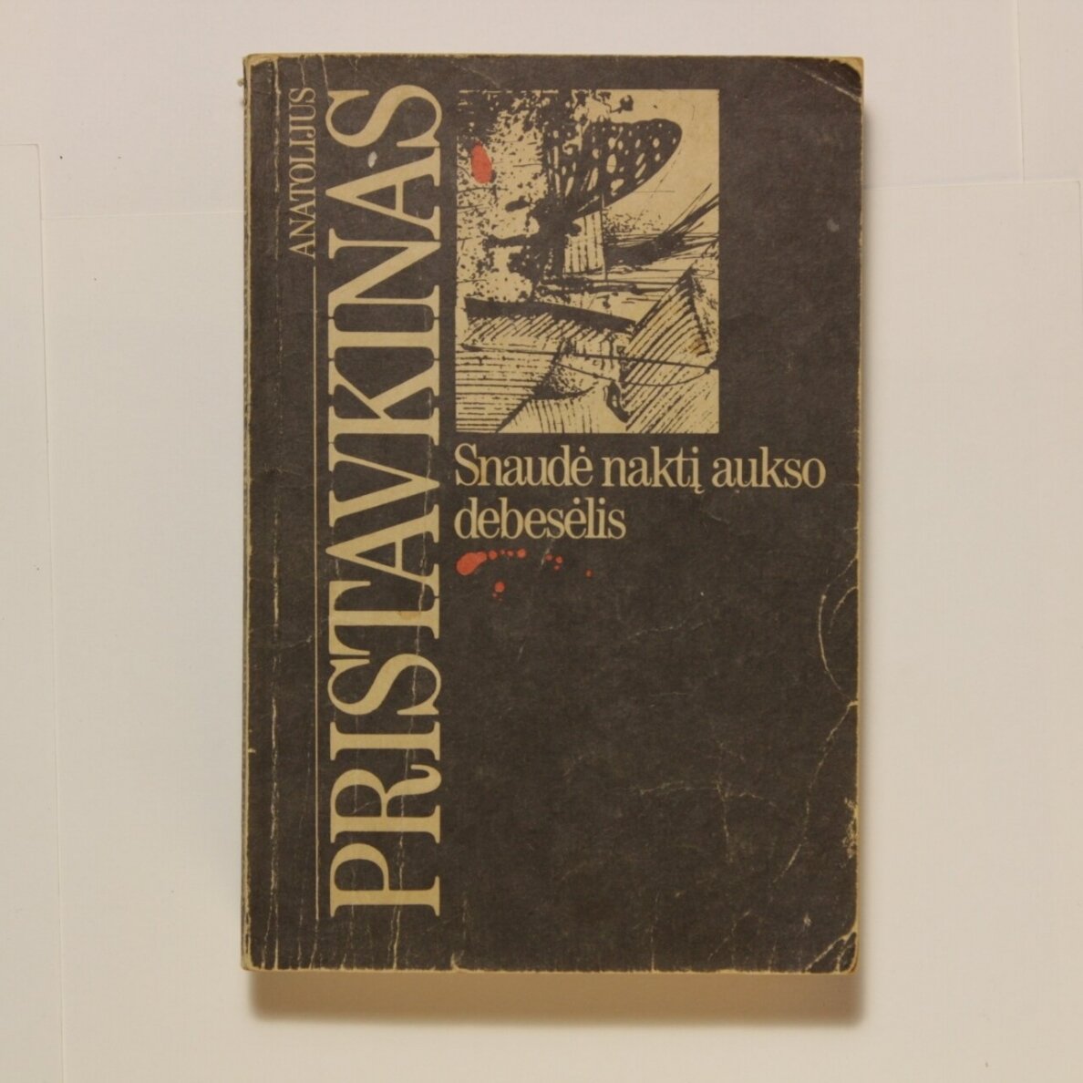 Snaudė naktį aukso debesėlis