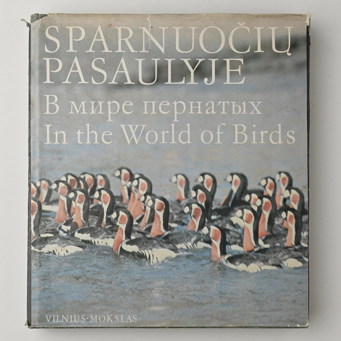 Sparnuočių pasaulyje Sparnuočių pasaulyje