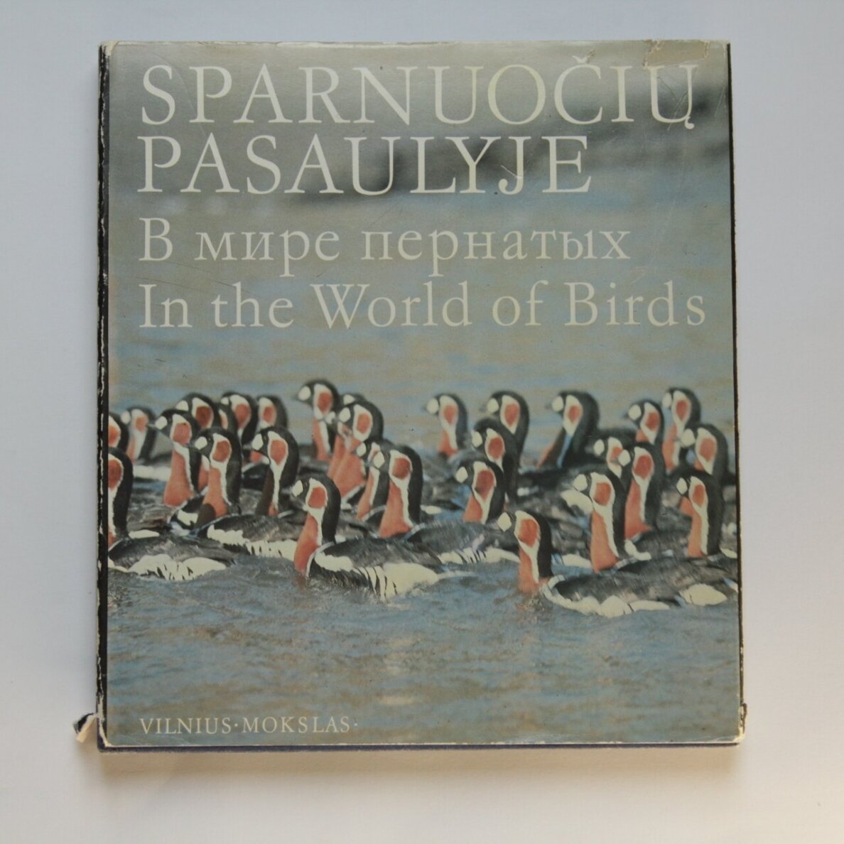 Sparnuočių pasaulyje