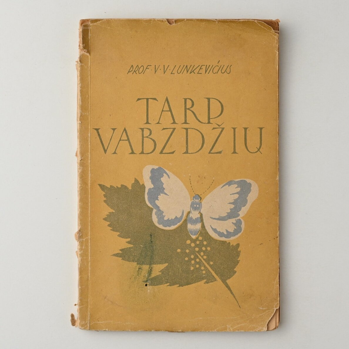 Tarp vabzdžių