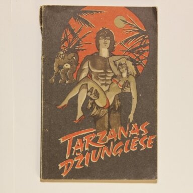 Tarzanas džiunglėse