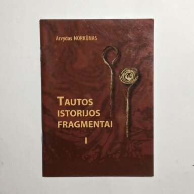 Tautos istorijos fragmentai  D. I