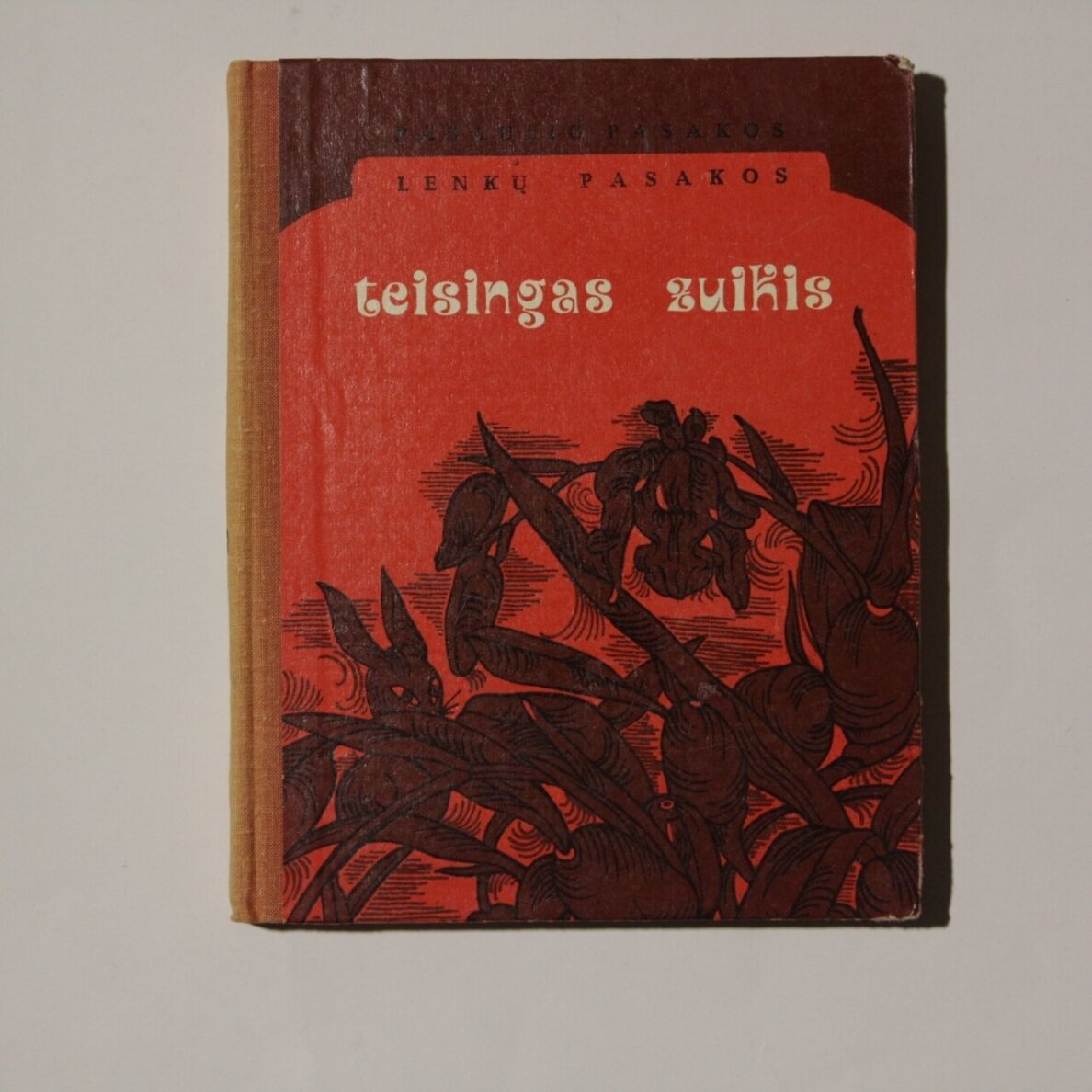 Teisingas zuikis