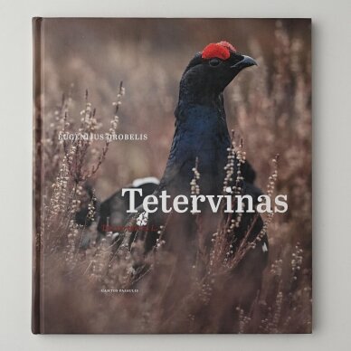 Tetervinas Tetervinas