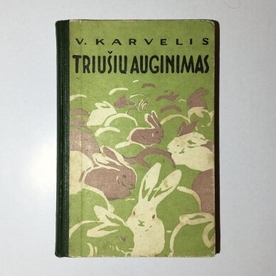 Triušių auginimas Triušių auginimas
