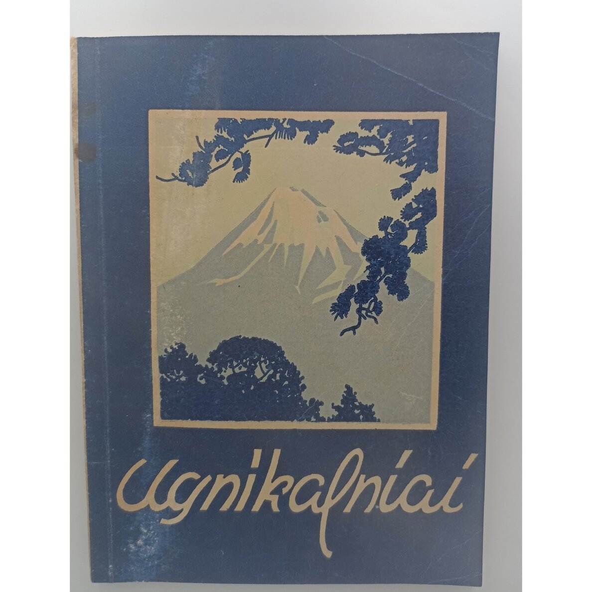 Ugnikalniai
