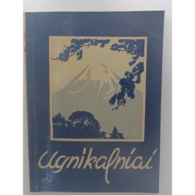 Ugnikalniai