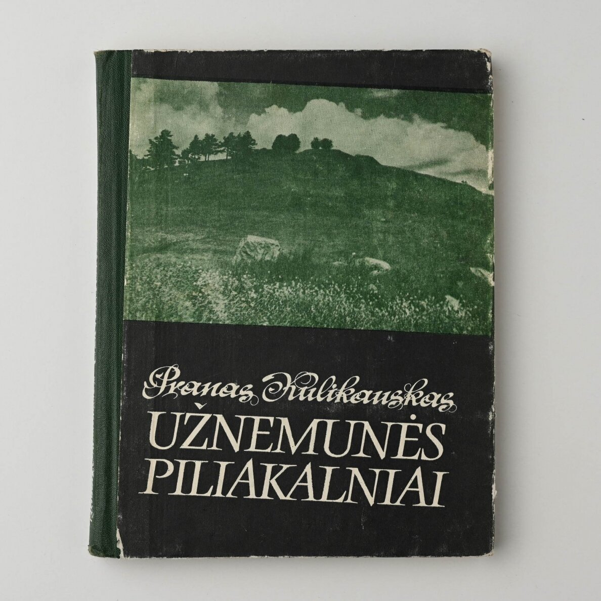 Užnemunės piliakalniai