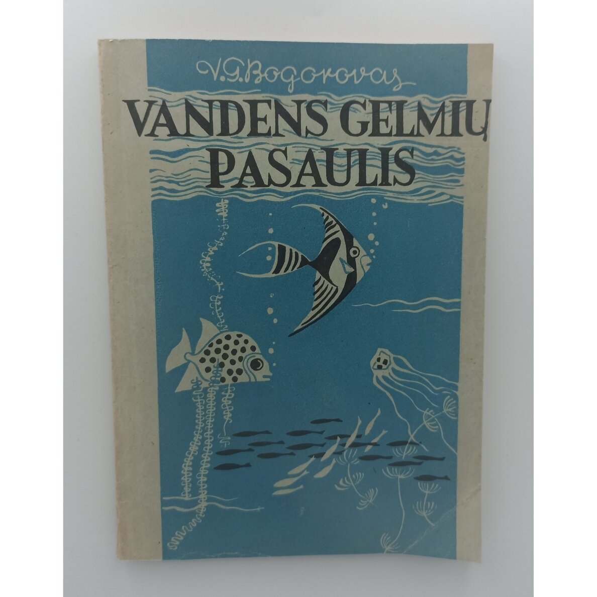 Vandens gelmių pasaulis Vandens gelmių pasaulis
