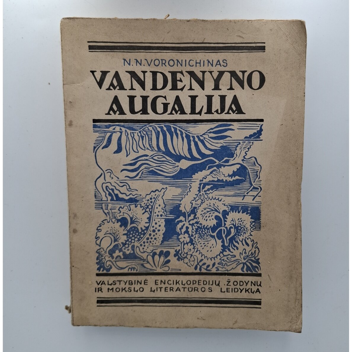 Vandenyno augalija